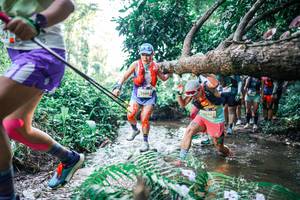 BIB: 
                            <button type="button" onclick="openModal(25450029)" class="btn btn-primary btn-sm float-right btn-popup" data-toggle="modal" data-target=".modal-high-quality">
                        <i class="fas fa-shopping-cart"></i> Add to Cart
                    </button>
                                            <button type="button" onclick="isThisMe(25450029, true)" class="btn btn-success btn-sm float-right btn-popup btn-isme hidden" data-toggle="tooltip" data-placement="bottom" title="นี่คือรูปของคุณใช่ไหม คลิกที่นี่เพื่อเอาเข้าอัลบั้ม">
                        <i class="fas fa-plus"></i> Add to album
                    </button>
                    <button type="button" onclick="isThisMe(25450029, false)" class="btn btn-warning btn-sm float-right btn-popup btn-isnotme hidden">
                        <i class="fas fa-ban"></i> Remove from album
                    </button>